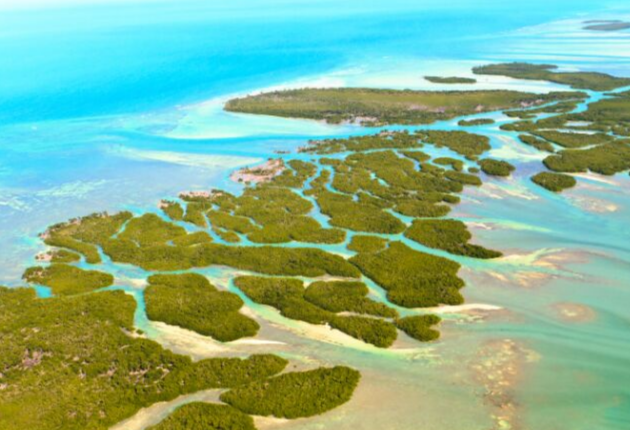 17 Pros and Cons of Living in the Florida Keys